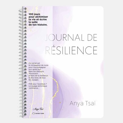 Journal de Résilience version papier 100 jours